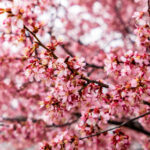 3D开奖结果组3奖金多少钱?最新中奖金额查询 5gd9a