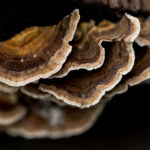 3d开奖结果走势图100期精准分析预测 f39jok