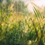 3D开奖结果走势图最新数据统计与分析 sfzompcb