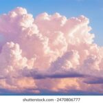 3D开奖综合走势分析与预测图表全览 z75qm